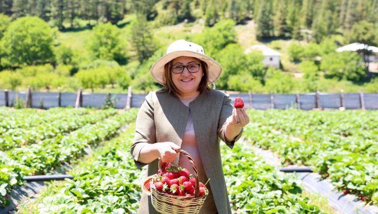 Gaziantep Büyükşehir’den Huzur Yaylası için eylem planı