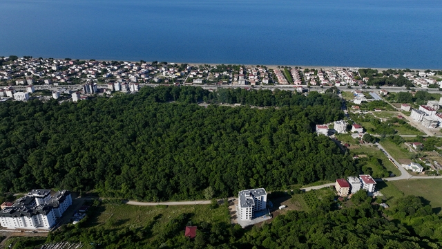 Samsun’da Çakırlar Korusu ziyaretçilerin ilgisini çekiyor