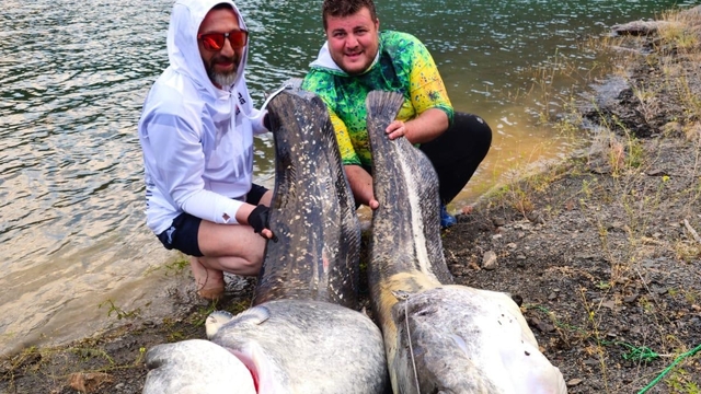 Baraj gölünde 100’er kilo ağırlığında 2 yayın balığı yakaladılar