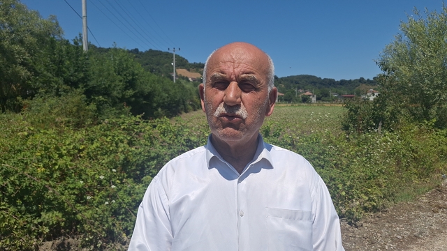 Samsun’da su kanallarının taşması sonucu tarım arazileri zarar gördü