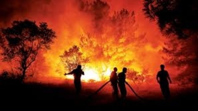 ‘Uçaktan atılan su sadece yangını geciktirir, esas mücadele yerde yapılır’