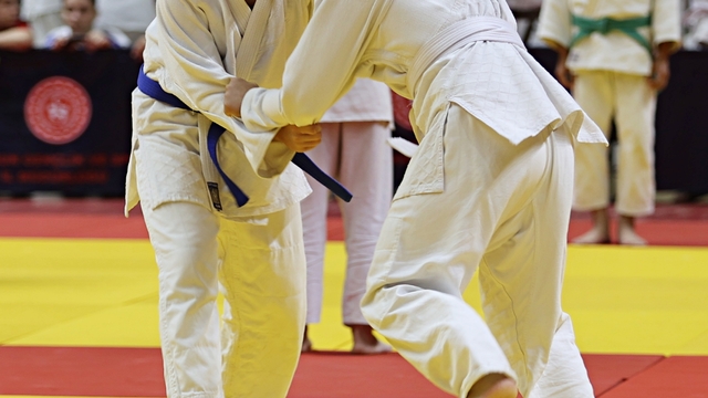 21. Uluslararası Karadeniz Judo Şampiyonası sona erdi