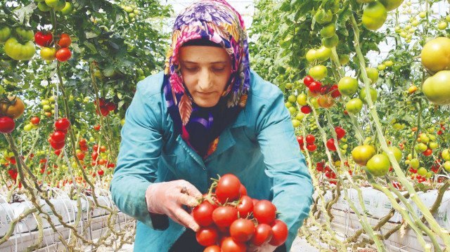 Batman’a organize sera