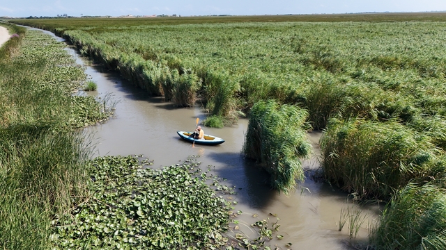 Kano sporcusu nilüferler arasında kano yaparak ilçesini tanıtmak istiyor