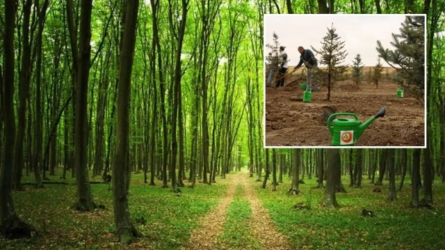 Ormanların korunması için 6 ayda yaklaşık 10,9 milyar lira harcandı