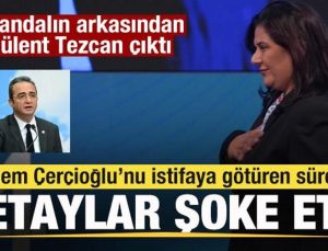 Özlem Çerçioğlu’nu istifaya götüren süreç! Skandalın arkasından Bülent Tezcan çıktı