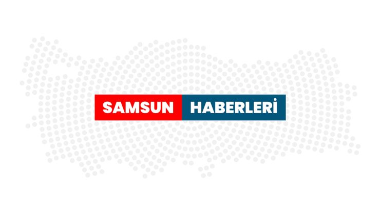 Samsun’da tarlada çıkan örtü yangını itfaiye ekiplerince söndürüldü