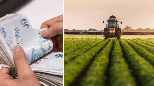Tarıma dev destek: 772 milyon liralık ödeme çiftçilerin hesaplarında