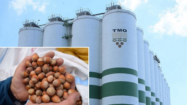 TMO fındık alım fiyatlarını belirledi