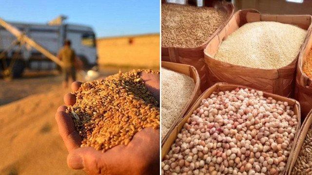 Yedi ayda 7,1 milyar dolarlık hububat ihracatı yapıldı