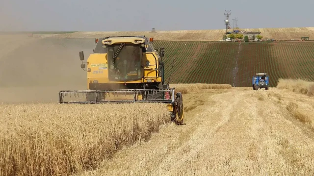Çiftçilere 274 milyon liralık destek ödemesi: Bugün hesaplarda