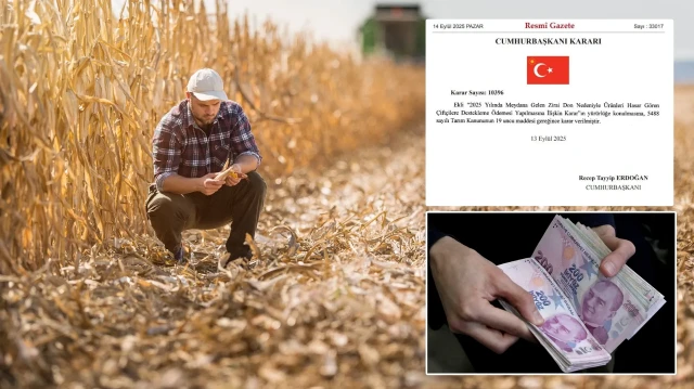 Cumhurbaşkanı kararıyla zirai dondan etkilenen çiftçilere destek
