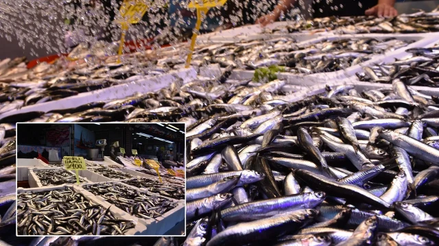 Denizden ekonomiye: 8 ayda 9,9 milyon dolarlık ‘hamsi’ geliri