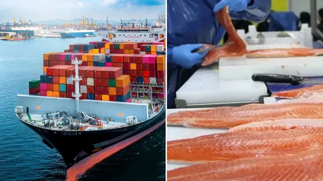 Doğu Karadeniz’in 8 aylık Türk somonu ihracatı 115 milyon doları aştı