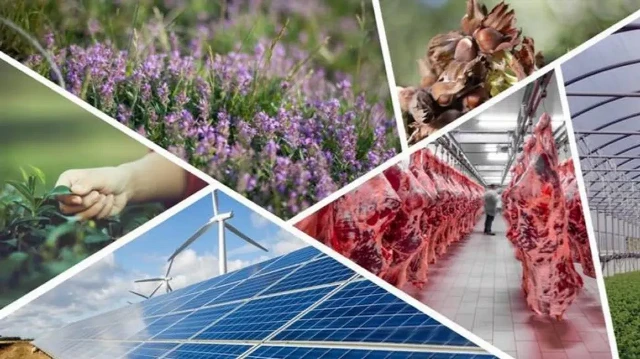 Kırsal kalkınmaya dev destek: 597,6 milyon lira hibe ödendi