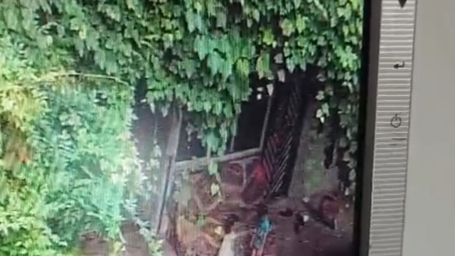 Salıncağın ipini boynuna dolayıp sallanmak isterken asılı kalan Eymen Asaf, öldü