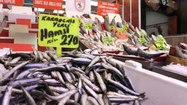 Samsun’da av sezonun ilk balıkları tezgaha çıktı