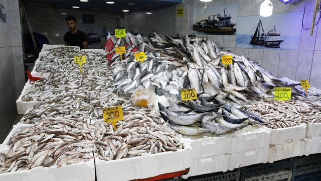 Samsun’da hamsi tezgahta 200-300 liradan satılıyor