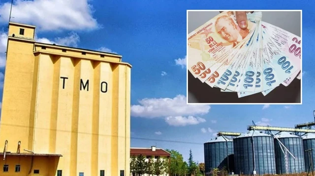 TMO 5,2 milyar lirayı üreticilerin hesaplarına yatırdı