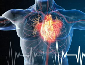 Enerji Depolayayım Derken Hastanelik Olmayın: Ginseng Dosyasını Açıyoruz!