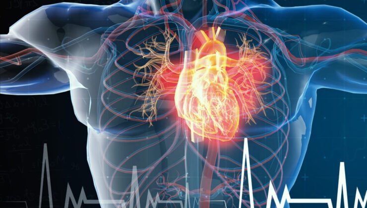 Enerji Depolayayım Derken Hastanelik Olmayın: Ginseng Dosyasını Açıyoruz!