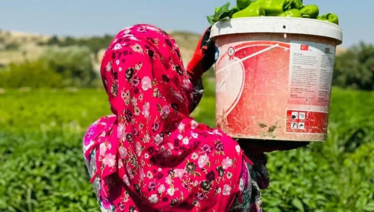 GAP Bedesten ile Kadın Emeği Yerelden Küresele Taşınıyor